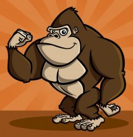 gorilla-002