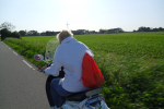 02912_large