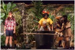 Jungle 4